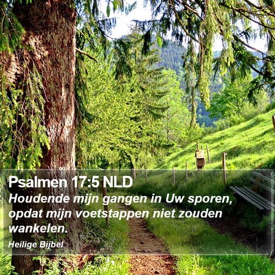 Psalmen 17:5 NLD Bible Verse Image