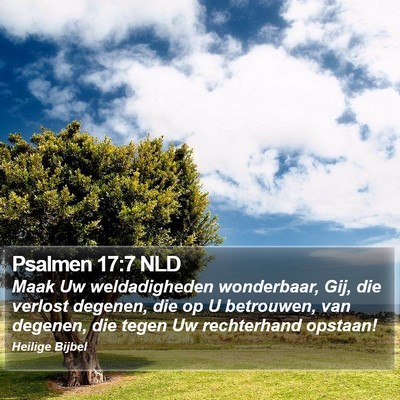 Psalmen 17:7 NLD Bible Verse Image