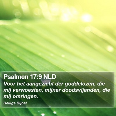 Psalmen 17:9 NLD Bible Verse Image