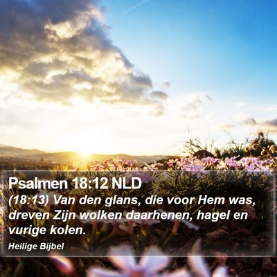 Psalmen 18:12 NLD Bible Verse Image