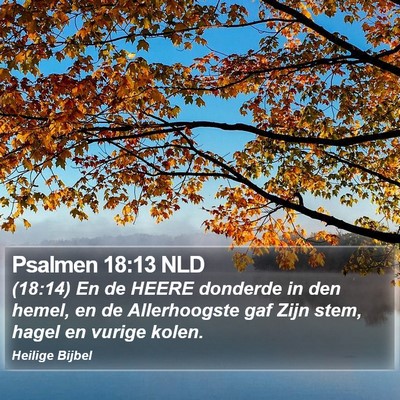 Psalmen 18:13 NLD Bible Verse Image