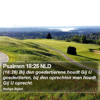 Psalmen 18:25 NLD Bible Verse Image
