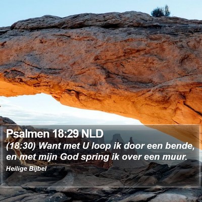 Psalmen 18:29 NLD Bible Verse Image