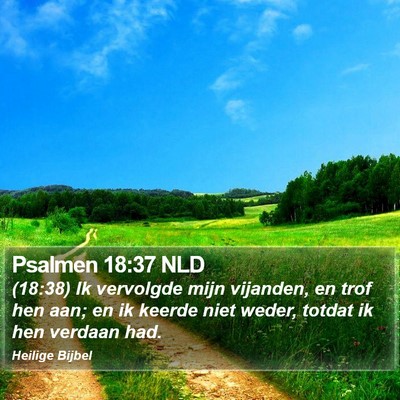 Psalmen 18:37 NLD Bible Verse Image