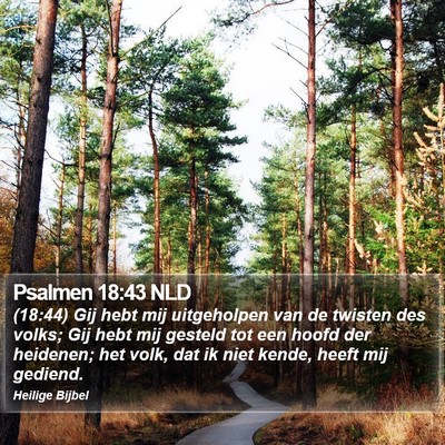 Psalmen 18:43 NLD Bible Verse Image