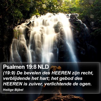 Psalmen 19:8 NLD Bible Verse Image