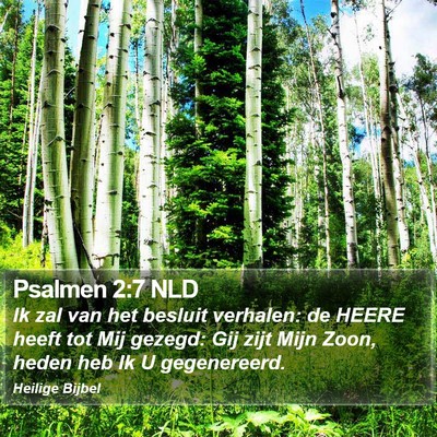 Psalmen 2:7 NLD Bible Verse Image