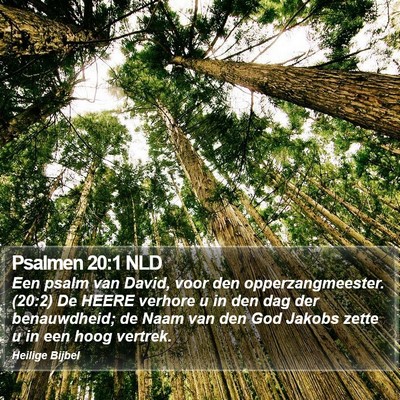 Psalmen 20:1 NLD Bible Verse Image