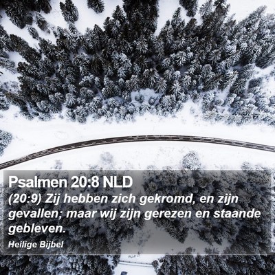 Psalmen 20:8 NLD Bible Verse Image