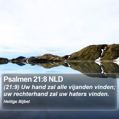 Psalmen 21:8 NLD Bible Verse Image