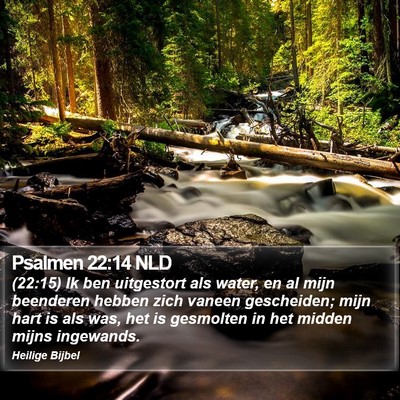 Psalmen 22:14 NLD Bible Verse Image