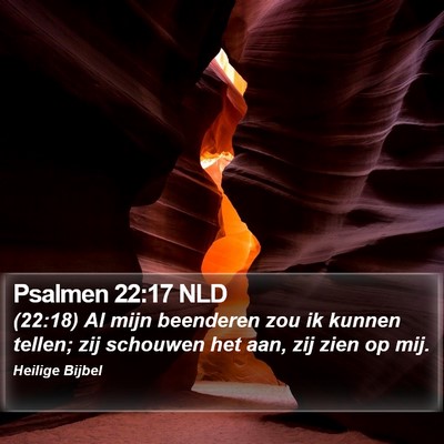 Psalmen 22:17 NLD Bible Verse Image