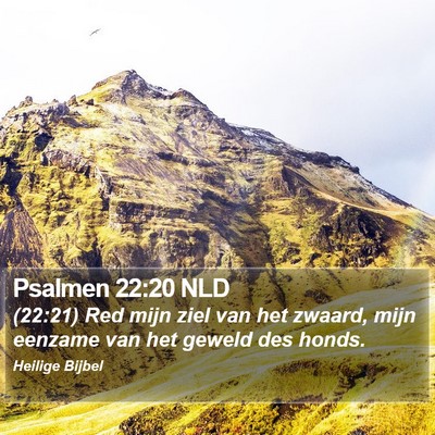 Psalmen 22:20 NLD Bible Verse Image