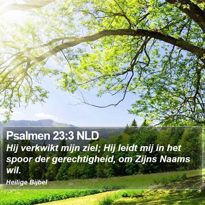 Psalmen 23:3 NLD Bible Verse Image
