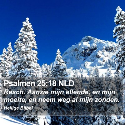 Psalmen 25:18 NLD Bible Verse Image
