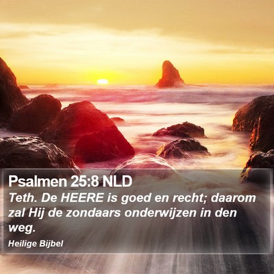 Psalmen 25:8 NLD Bible Verse Image