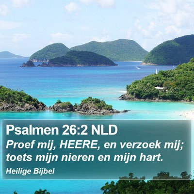 Psalmen 26:2 NLD Bible Verse Image