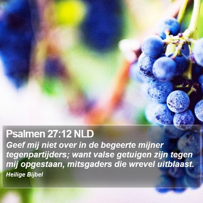 Psalmen 27:12 NLD Bible Verse Image