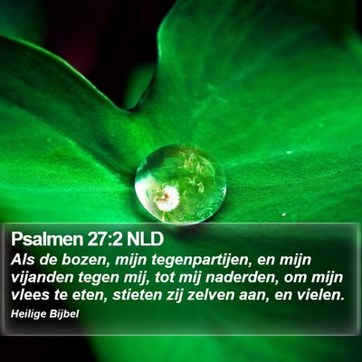 Psalmen 27:2 NLD Bible Verse Image
