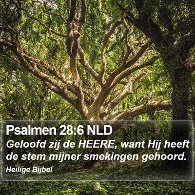 Psalmen 28:6 NLD Bible Verse Image