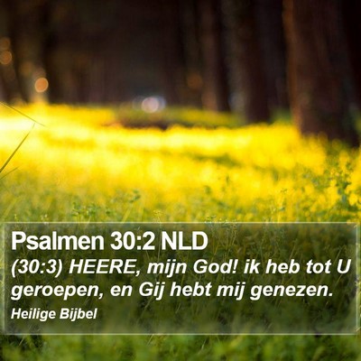 Psalmen 30:2 NLD Bible Verse Image