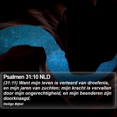 Psalmen 31:10 NLD Bible Verse Image