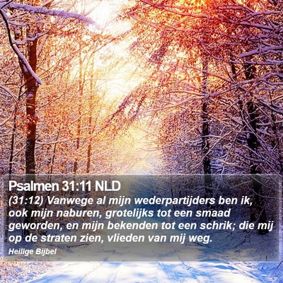 Psalmen 31:11 NLD Bible Verse Image