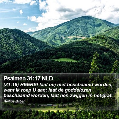 Psalmen 31:17 NLD Bible Verse Image