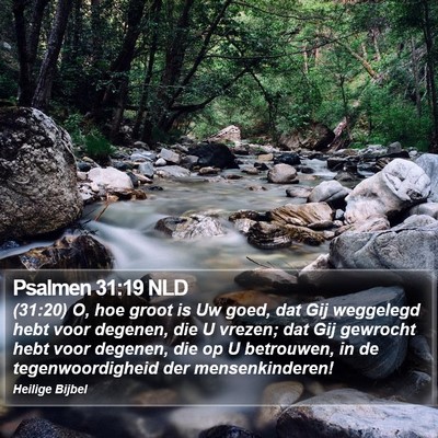 Psalmen 31:19 NLD Bible Verse Image