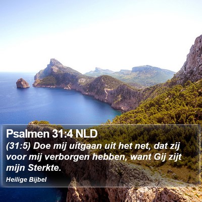 Psalmen 31:4 NLD Bible Verse Image