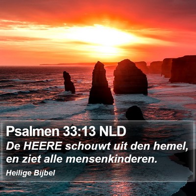 Psalmen 33:13 NLD Bible Verse Image
