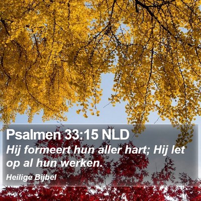 Psalmen 33:15 NLD Bible Verse Image