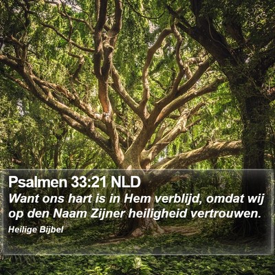 Psalmen 33:21 NLD Bible Verse Image