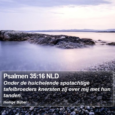 Psalmen 35:16 NLD Bible Verse Image
