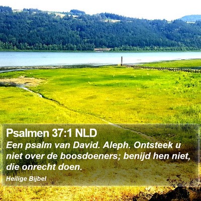 Psalmen 37:1 NLD Bible Verse Image