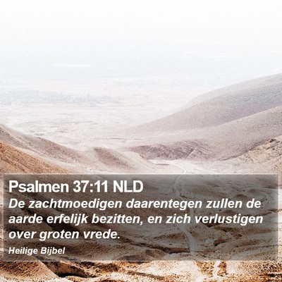 Psalmen 37:11 NLD Bible Verse Image