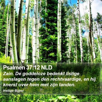 Psalmen 37:12 NLD Bible Verse Image