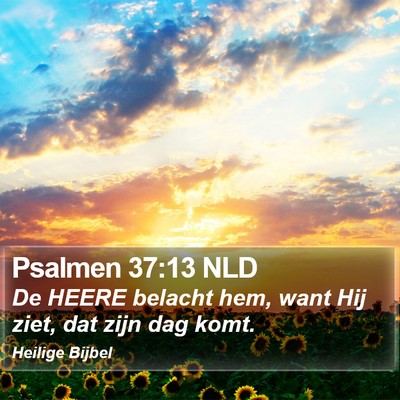 Psalmen 37:13 NLD Bible Verse Image