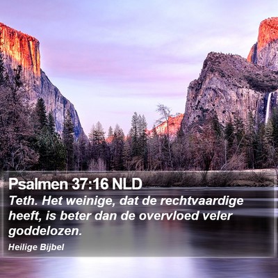 Psalmen 37:16 NLD Bible Verse Image
