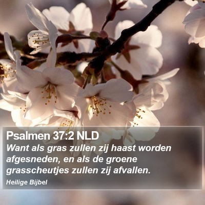 Psalmen 37:2 NLD Bible Verse Image
