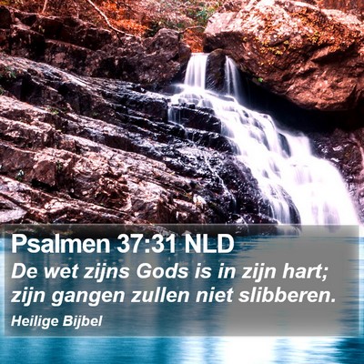 Psalmen 37:31 NLD Bible Verse Image