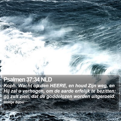 Psalmen 37:34 NLD Bible Verse Image