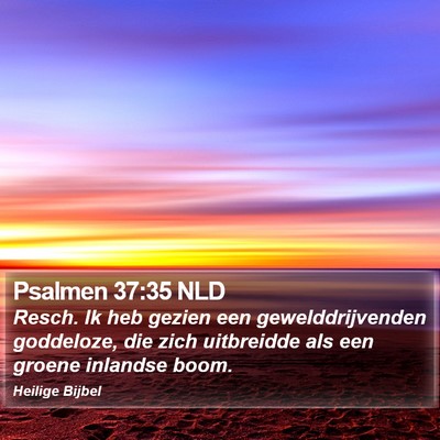 Psalmen 37:35 NLD Bible Verse Image