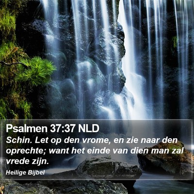 Psalmen 37:37 NLD Bible Verse Image
