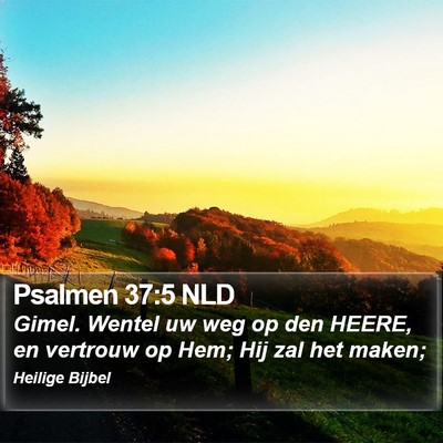 Psalmen 37:5 NLD Bible Verse Image
