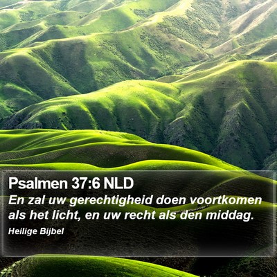 Psalmen 37:6 NLD Bible Verse Image