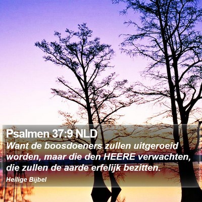 Psalmen 37:9 NLD Bible Verse Image
