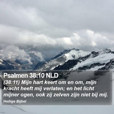 Psalmen 38:10 NLD Bible Verse Image