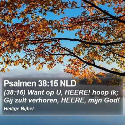 Psalmen 38:15 NLD Bible Verse Image