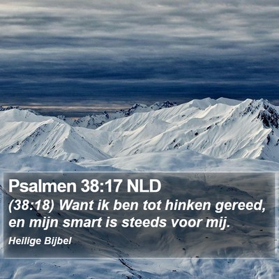 Psalmen 38:17 NLD Bible Verse Image